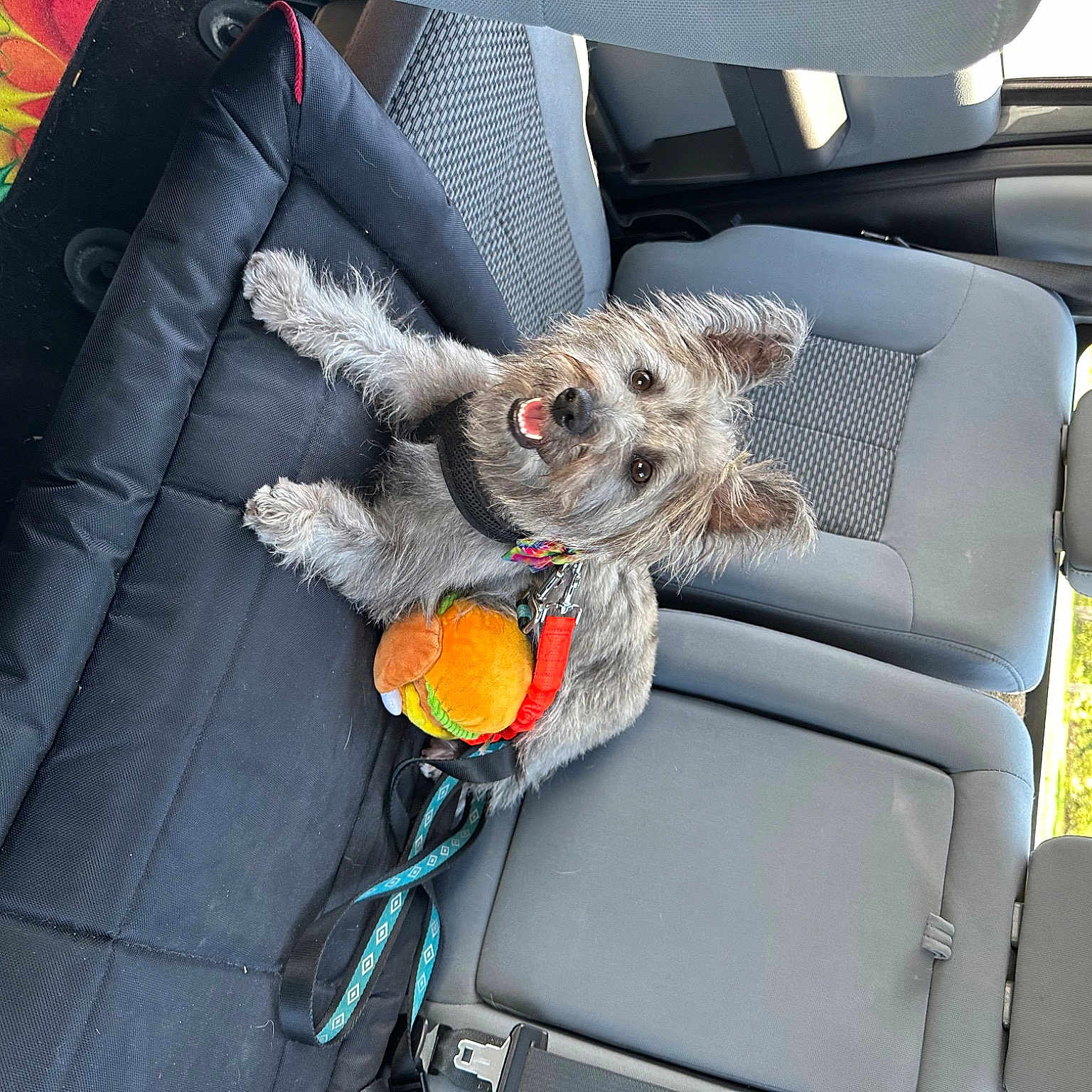 Maggie Sunshine