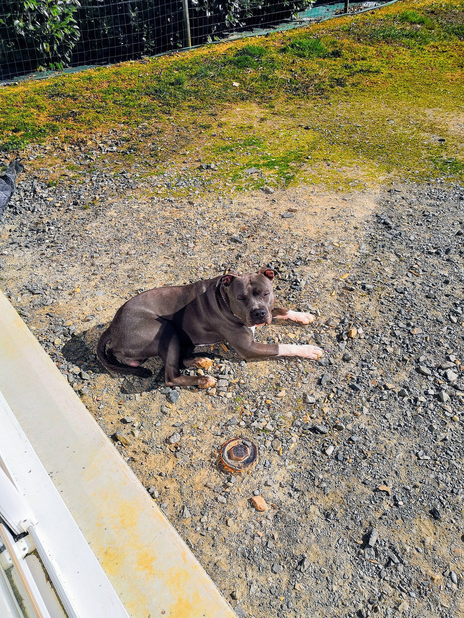 Oscar a rejoint le concours — aidez-le/la à gagner de superbes lots !