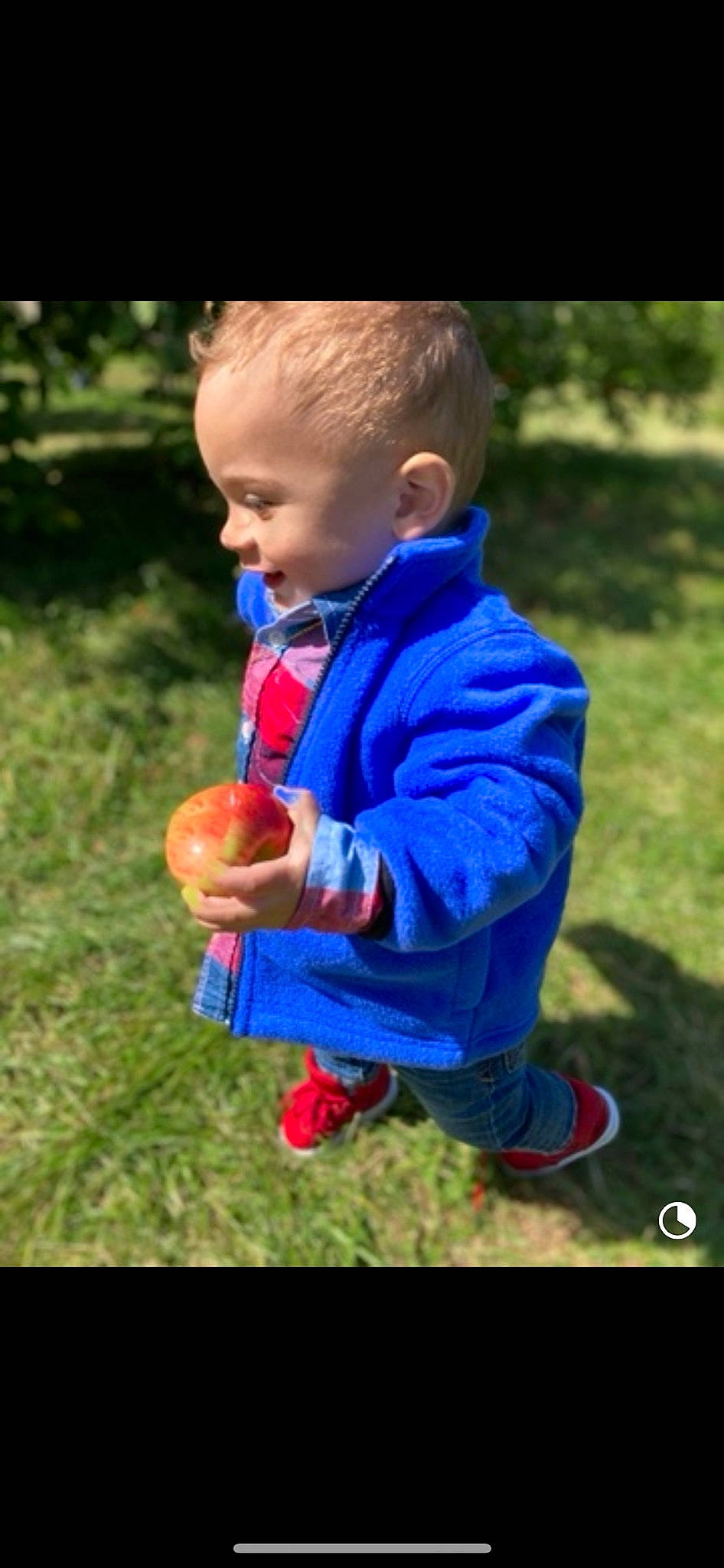 Julian is registered to the contest to win money with this photo: baby, baby_toddler_clothing, ball, child, clothing, electric_blue, fun, garden, grass, happy, jacket, lawn, leisure, people_in_nature, person, plant, play, recreation, sitting, soil