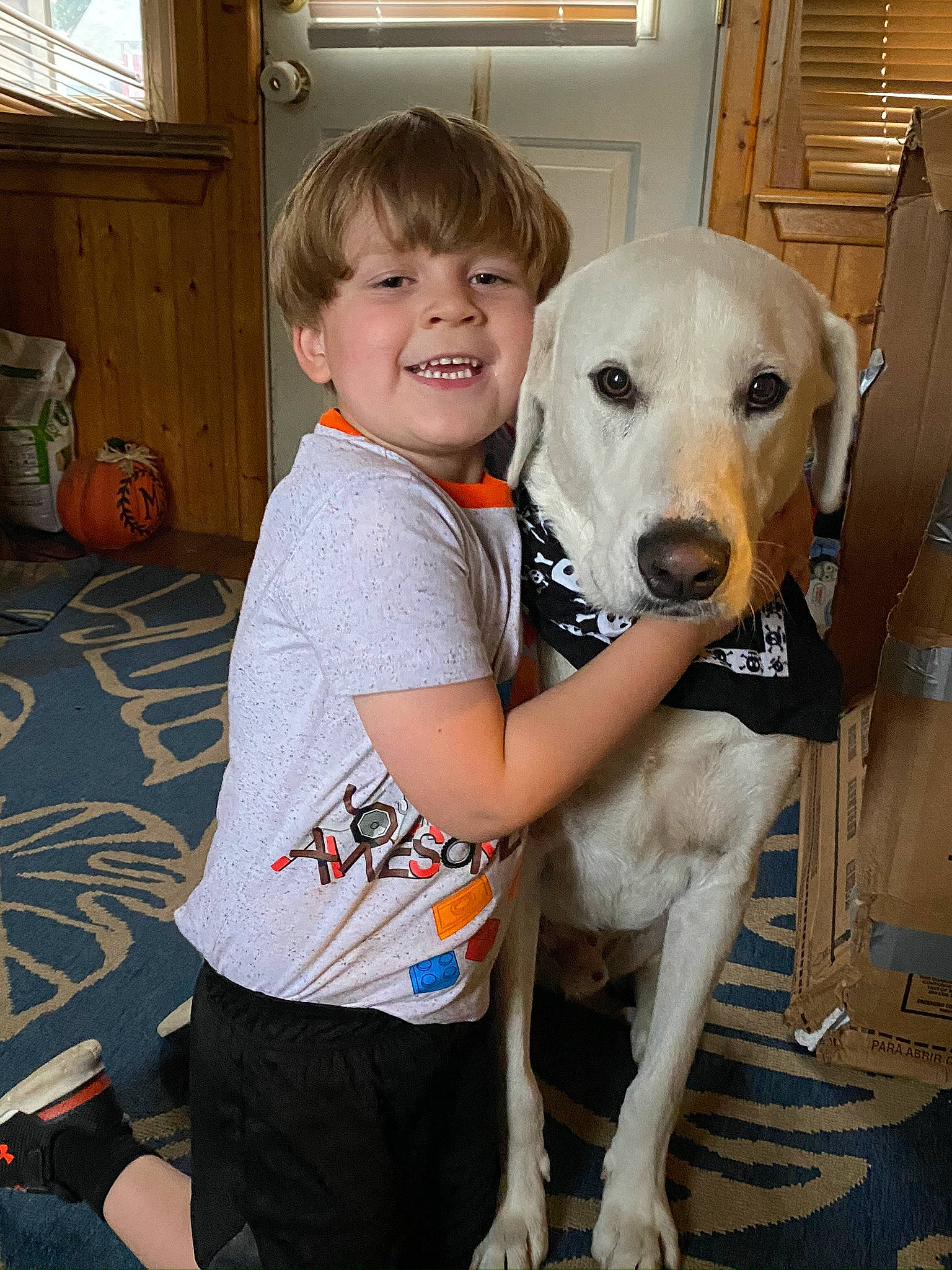 Tyler is registered to the contest to win money with this photo: cabinetry, canidae, carnivore, companion_dog, dog, dog_breed, dog_supply, door, fawn, happy, lamp, pet_supply, picture_frame, sitting, smile, snout, sporting_group, toddler, window, working_animal