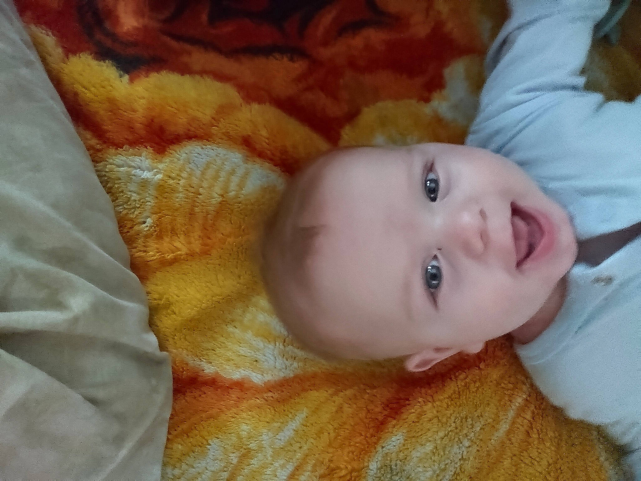 Cyrus joined the competition — help win amazing prizes! baby, baby_toddler_clothing, brown, cheek, child, close_up, comfort, eye, eyebrow, eyelash, fur, happy, iris, lip, nose, peach, person, skin, smile, toddler