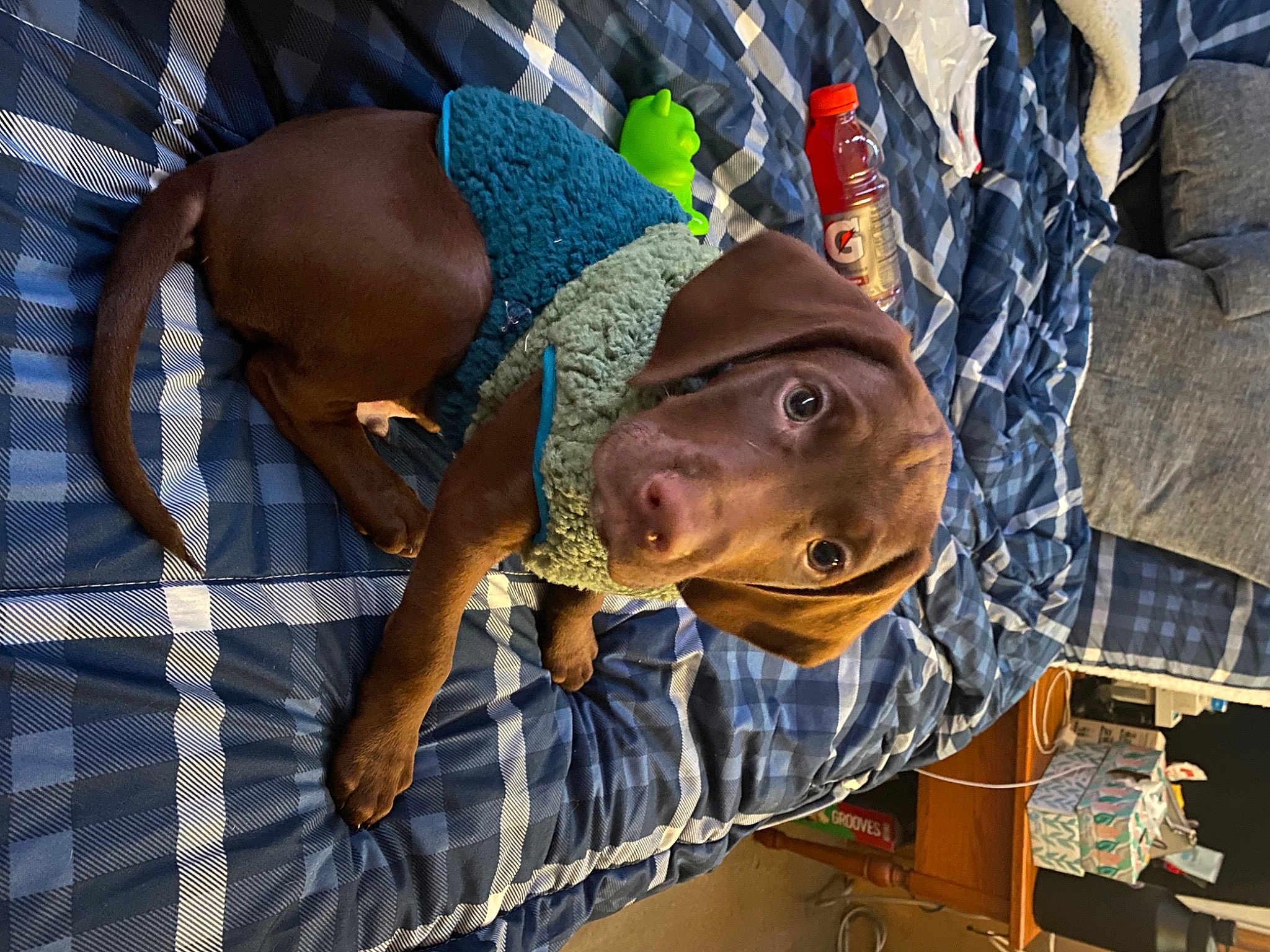 Oscar