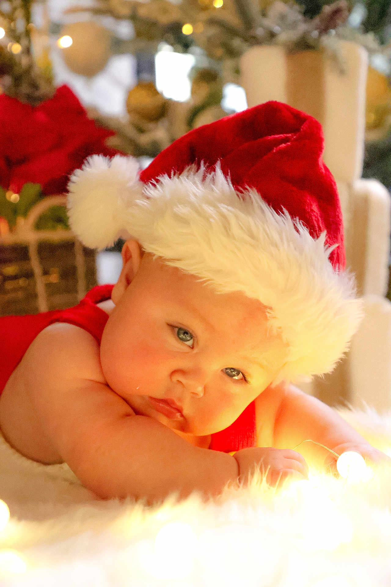 Samuel is registered to the contest to win money with this photo: baby, infant, santa_hat, christmas, holiday, soft_lighting, closeup, cute, red_clothing, decorations, indoors, festive, warm_colors, face, portrait, child, holiday_lights, fluffy_texture, resting, young