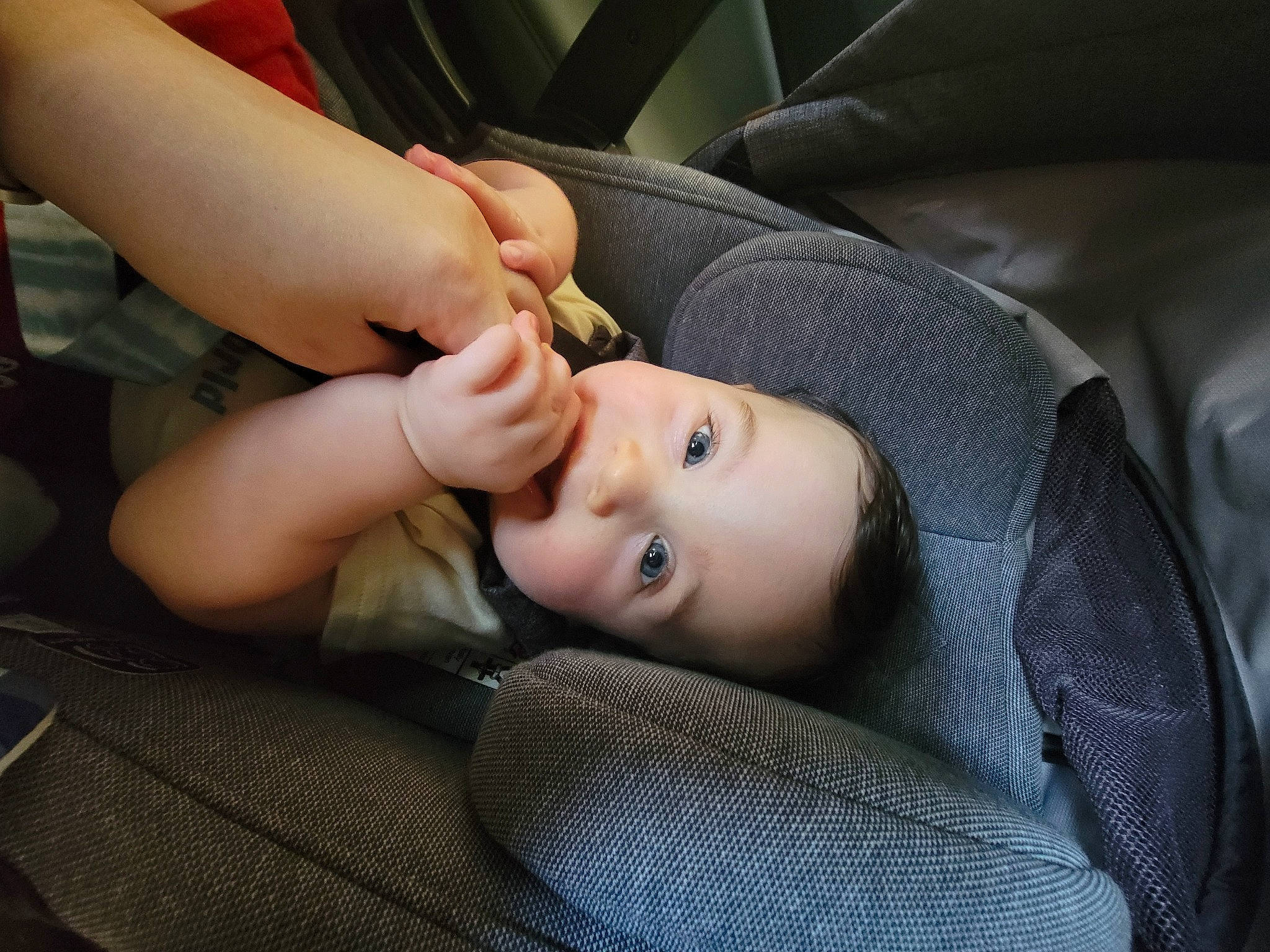 Lawson is registered to the contest to win money with this photo: auto_part, baby, baby_products, car_seat, cheek, child, chin, comfort, eye, eyebrow, eyelash, gesture, grass, nail, nose, person, seat_belt, sitting, skin, thumb
