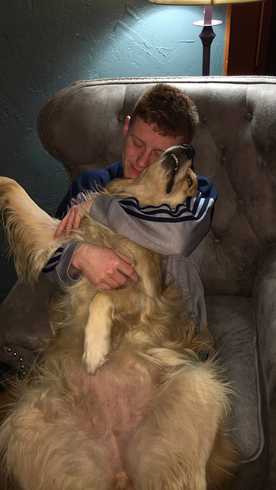 Hazel joined the competition — help win amazing prizes! canidae, carnivore, companion_dog, dog_breed, fur, person, sporting_group