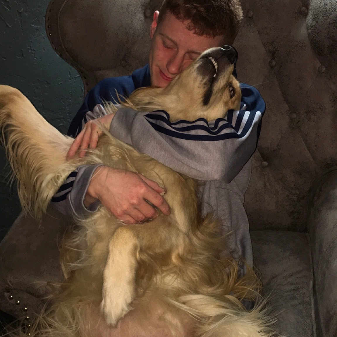 Hazel