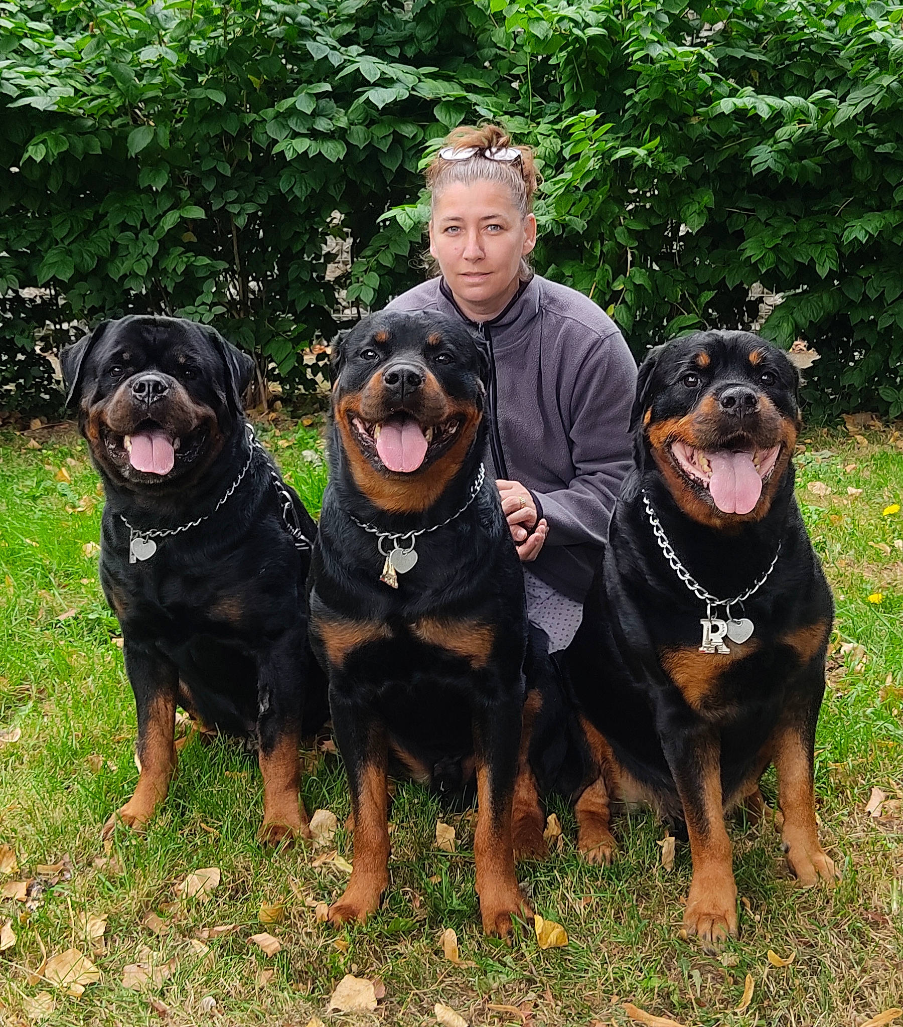 Rex participe au concours pour gagner de l'argent avec cette photo : canidae, carnivore, companion_dog, dog, dog_breed, grass, guard_dog, happy, hunting_dog, plant, rottweiler, sharing, smile, snout, sporting_group, tree, working_animal, working_dog