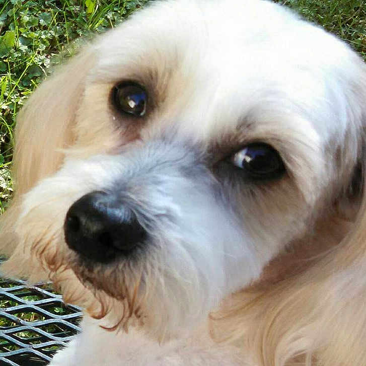 Bella joined the competition — help win amazing prizes!