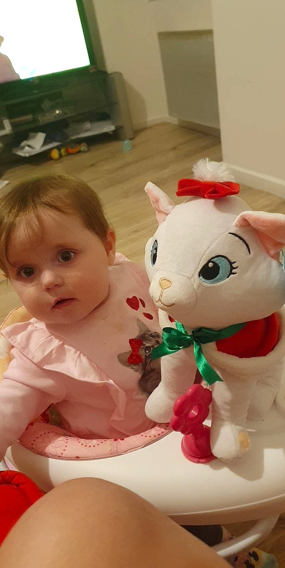 Hayden a rejoint le concours — aidez-le/la à gagner de superbes lots ! baby, baby_toddler_clothing, carmine, cheek, face, facial_expression, fur, happy, head, holiday, home_appliance, mammal, person, plush, room, skin, stuffed_toy, television, television_set, toddler