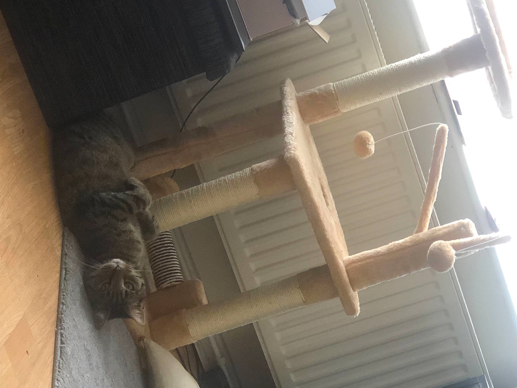 Koby is registered to the contest to win money with this photo: ceiling, room, wood