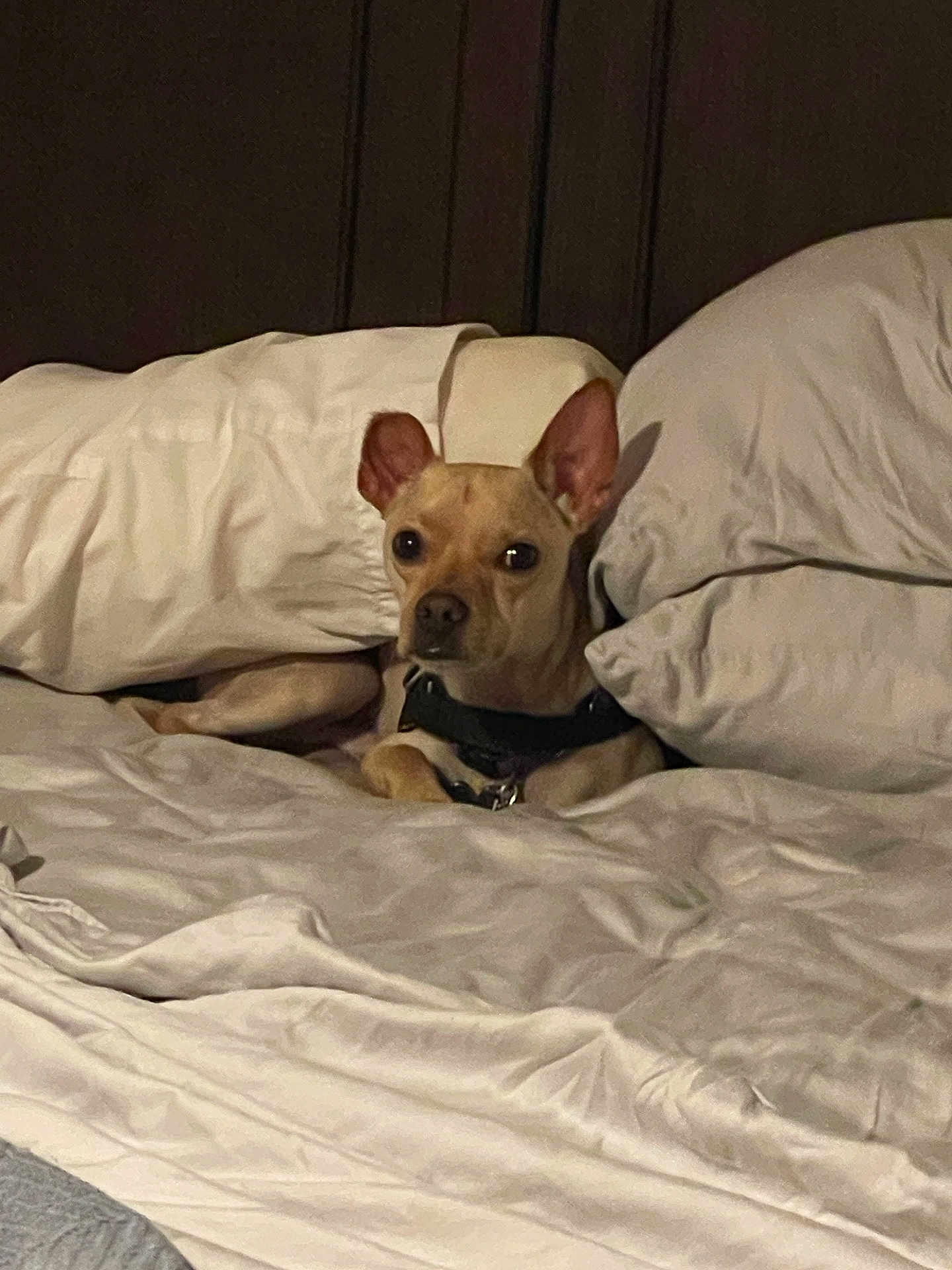 George