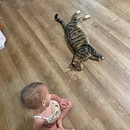 Baby Booge is registered to the contest to win money with this photo: baby, cat, tabby_cat, wooden_floor, flooring, child, sitting, indoor, pet, animal, curious, relaxed, one_piece, floral_pattern, collar, striped, domestic_animal, furniture_edge, barefoot, light
