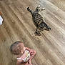 baby, cat, tabby_cat, wooden_floor, flooring, child, sitting, indoor, pet, animal, curious, relaxed, one_piece, floral_pattern, collar, striped, domestic_animal, furniture_edge, barefoot, light
