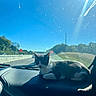 cat, kitten, black_and_white, animal, pet, dashboard, car, vehicle, highway, road, driving, windshield, sunlight, outdoor, blue_sky, trees, traffic, portrait, sitting, travel
