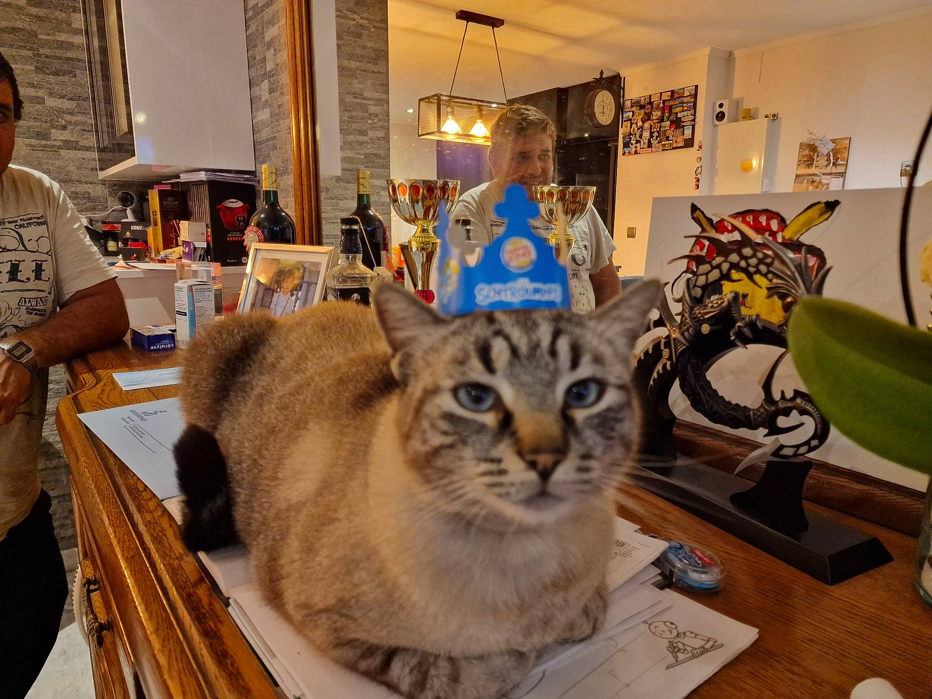 Pistache participe au concours pour gagner de l'argent avec cette photo : art, carnivore, cat, chair, domestic_short_haired_cat, event, felidae, flooring, fur, houseplant, leisure, picture_frame, room, small_to_medium_sized_cats, t_shirt, table, tourist_attraction, whiskers, wood