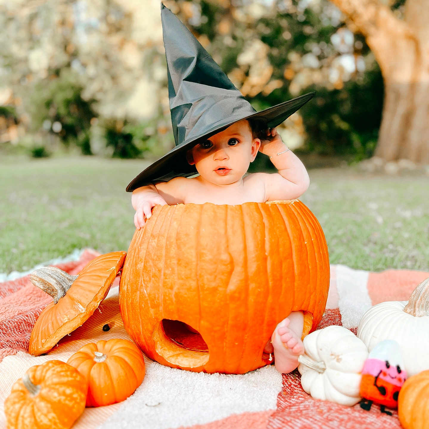 Charleigh is registered to the contest to win money with this photo: baby, clothing, face, festival, food, halloween, hat, head, jack_o_lantern, person, plant, produce, pumpkin, squash, vegetable