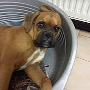 Jook a rejoint le concours — aidez-le/la à gagner de superbes lots !