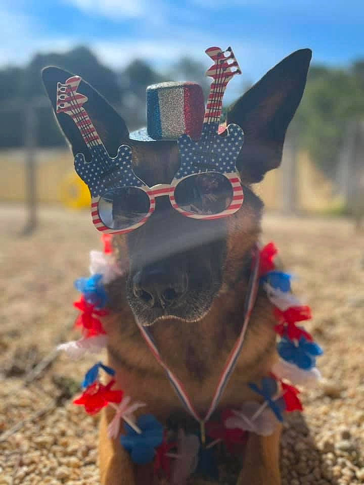 Akim joined the competition — help win amazing prizes! costume, electric_blue, event, eyewear, fashion_accessory, fawn, festival, fictional_character, fun, gesture, grass, landscape, personal_protective_equipment, public_event, shadow, sky, soil, tradition, travel, tribe