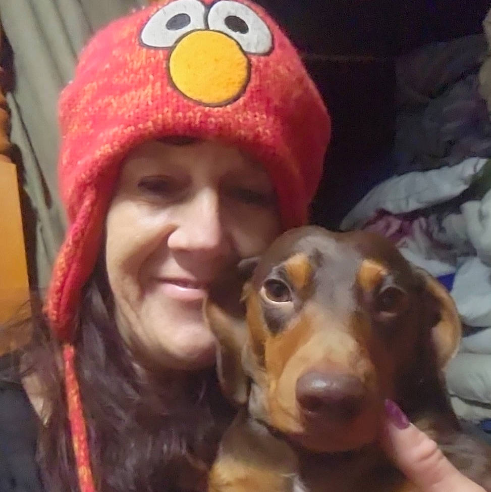 Freddie is registered to the contest to win money with this photo: cap, carnivore, companion_dog, costume_hat, dog, dog_breed, eye, fawn, fun, fur, happy, head, headwear, joy, knit_cap, liver, mammal, nose, person, selfie
