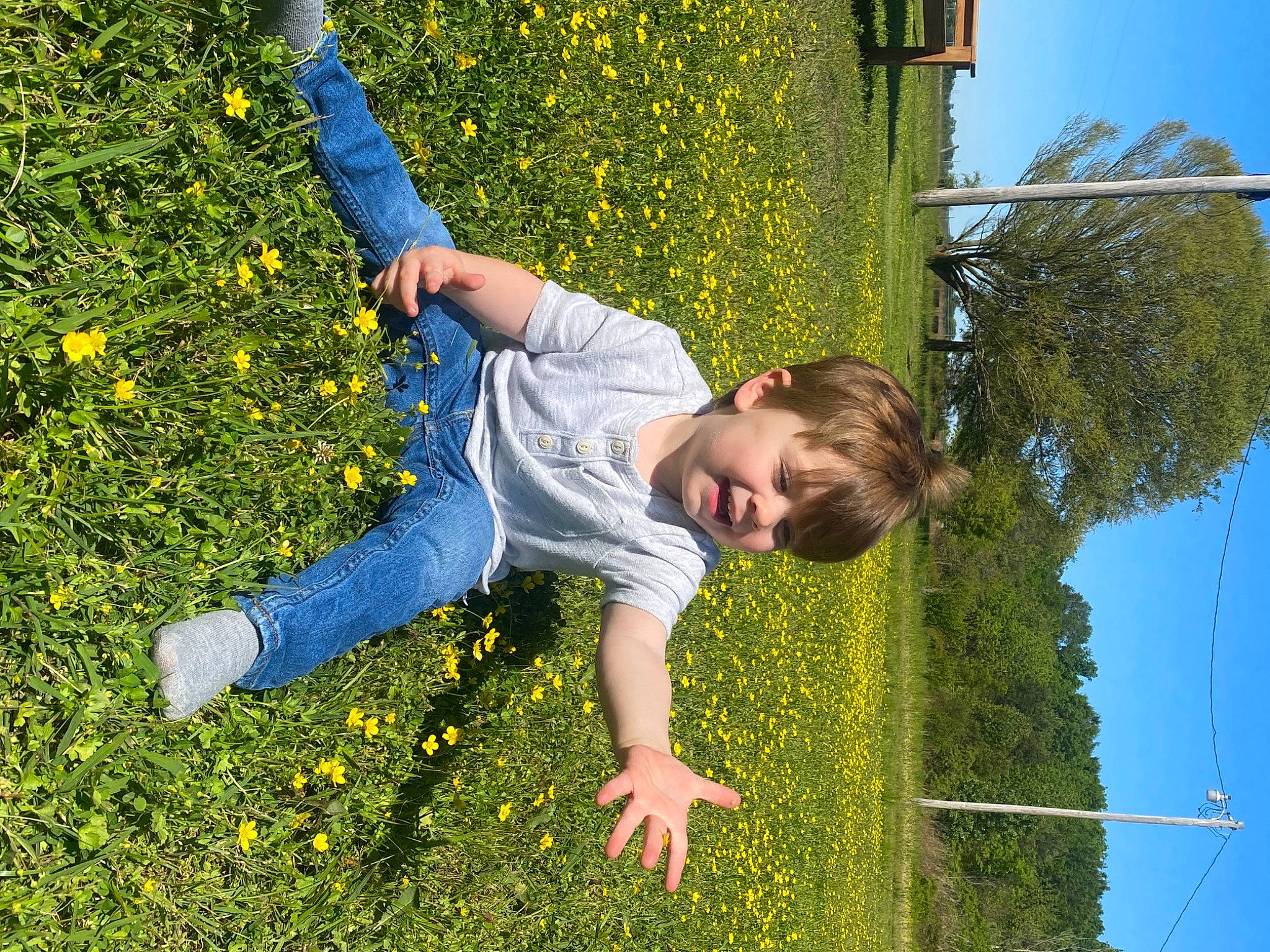 Jd is registered to the contest to win money with this photo: arm, daytime, flower, fun, grass, grass_family, groundcover, happy, leaf, meadow, nature, people_in_nature, person, plant, sky, smile, standing, summer, toddler, tree