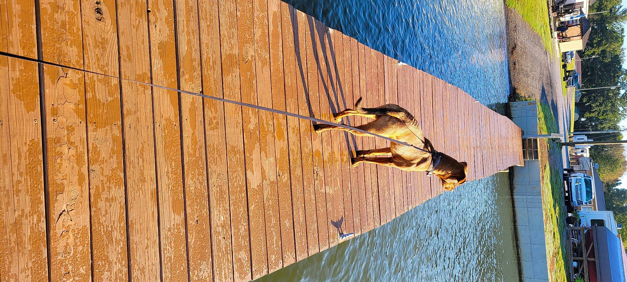 Diesel joined the competition — help win amazing prizes! art, door, facade, hardwood, lake, leisure, metal, pattern, plank, plywood, reflection, sculpture, shadow, tints_and_shades, tree, wall, water, wood, wood_stain, yellow