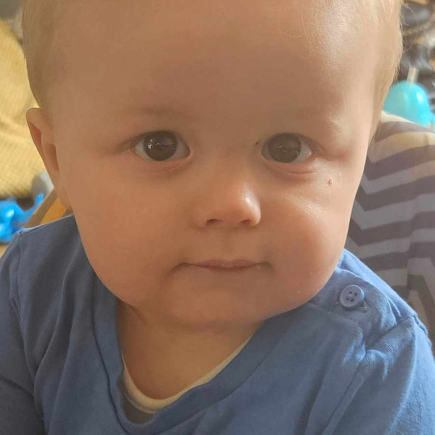 Noah is registered to the contest to win money with this photo: baby, blue_shirt, casual, child, closeup, crumbs, curly_hair, cute, expression, eyes, face, food, hands, indoor, infant, person, portrait, skin, table, young_child