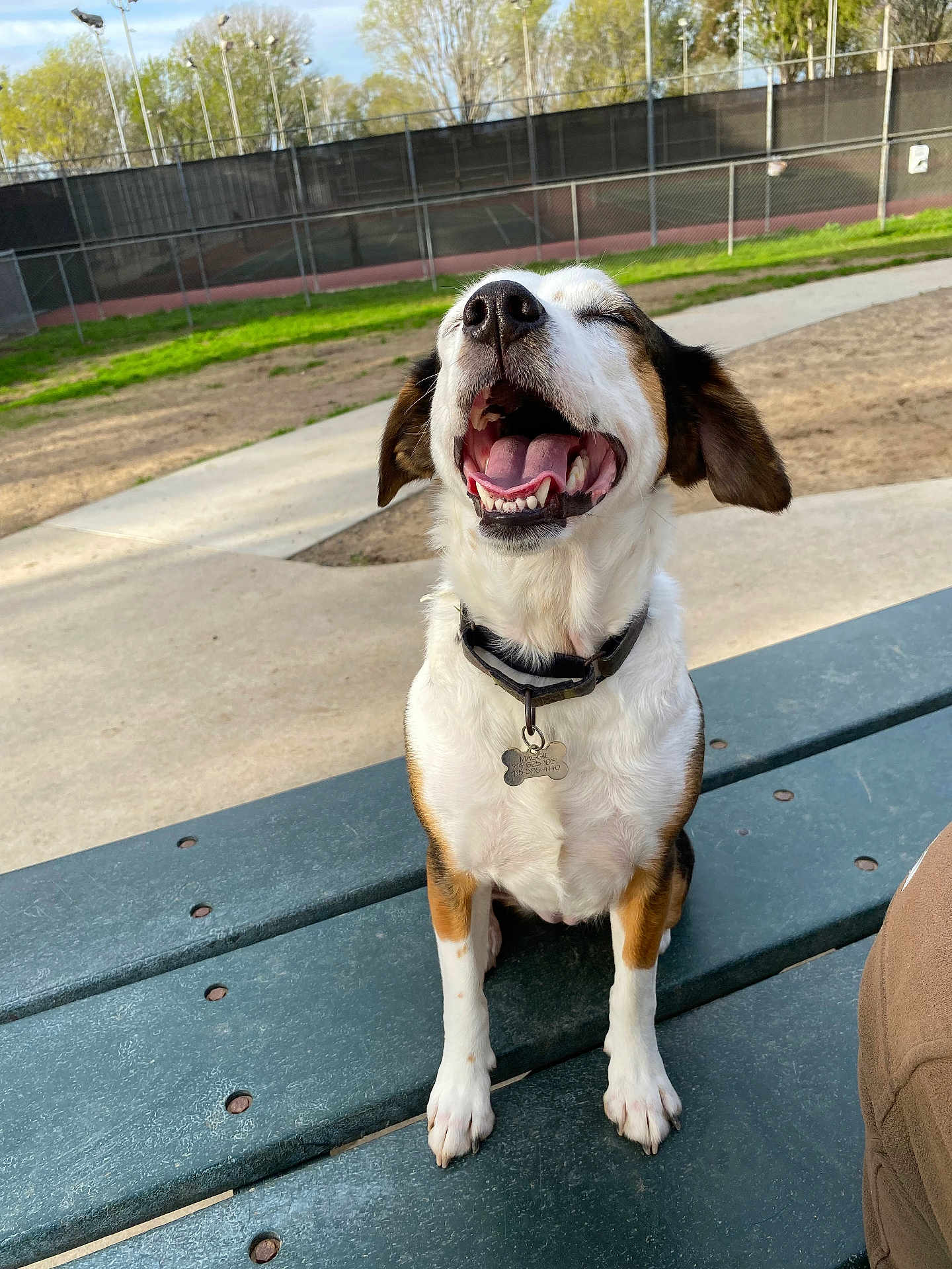 Maggie