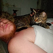 Angel participe au concours pour gagner de l'argent avec cette photo : man, cat, tabby_cat, indoor, sleeping, beard, bare_shoulders, phone, pet, companion, resting, couch, blanket, feline, casual, cozy, human, animal, closeup, friendship