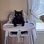 black_cat, cat, high_chair, baby_chair, indoor, curtains, window, furniture, pet, animal, yellow_eyes, domestic_cat, household, seat, resting, curious, home, interior, light, cozy