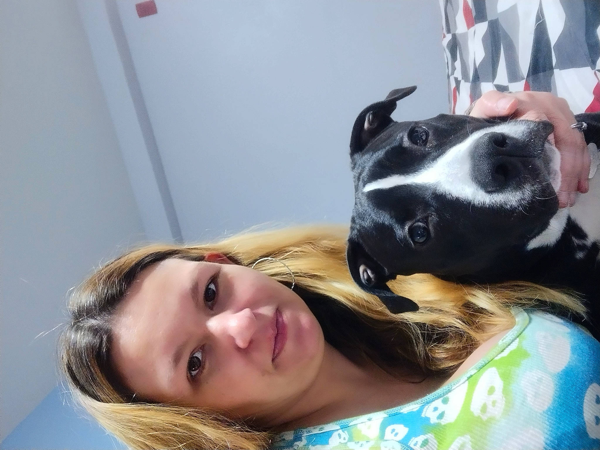 Blu joined the competition — help win amazing prizes! canidae, carnivore, comfort, companion_dog, dog, dog_breed, eyelash, fun, fur, guard_dog, happy, portrait_photography, sitting, sporting_group