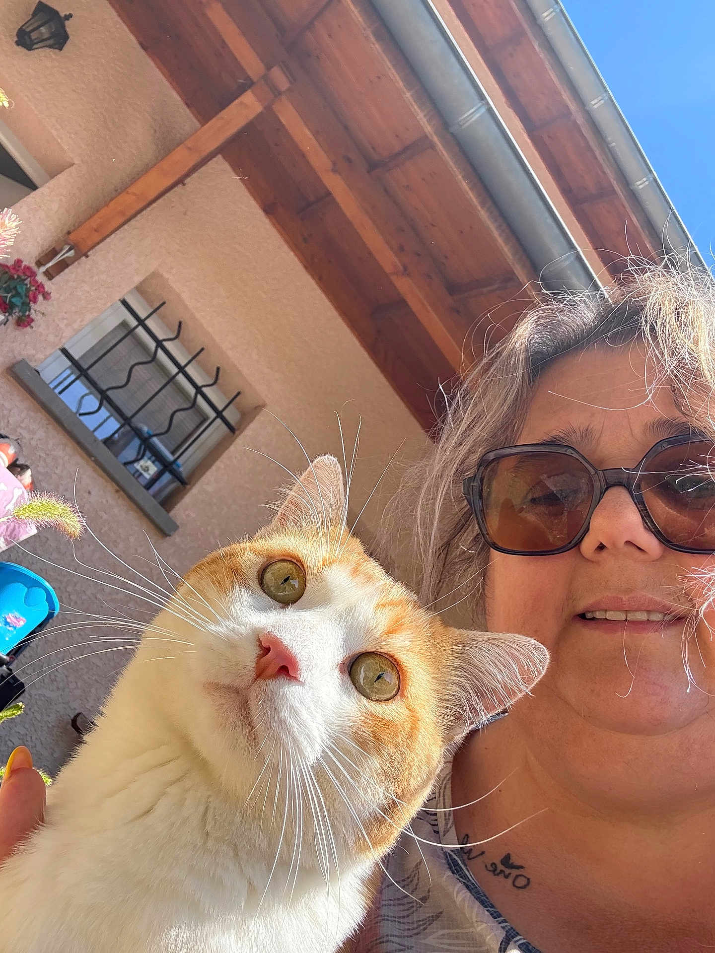 Severine Rodier participe au concours pour gagner de l'argent avec cette photo : blue_sky, building, cat, curious, daylight, face, hair, hand, orange_cat, outdoor, person, pet, roof, selfie, smile, sunglasses, wall, whiskers, white_cat, window