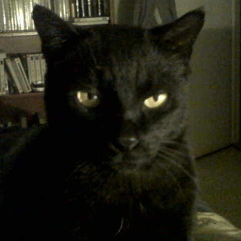 Nelson