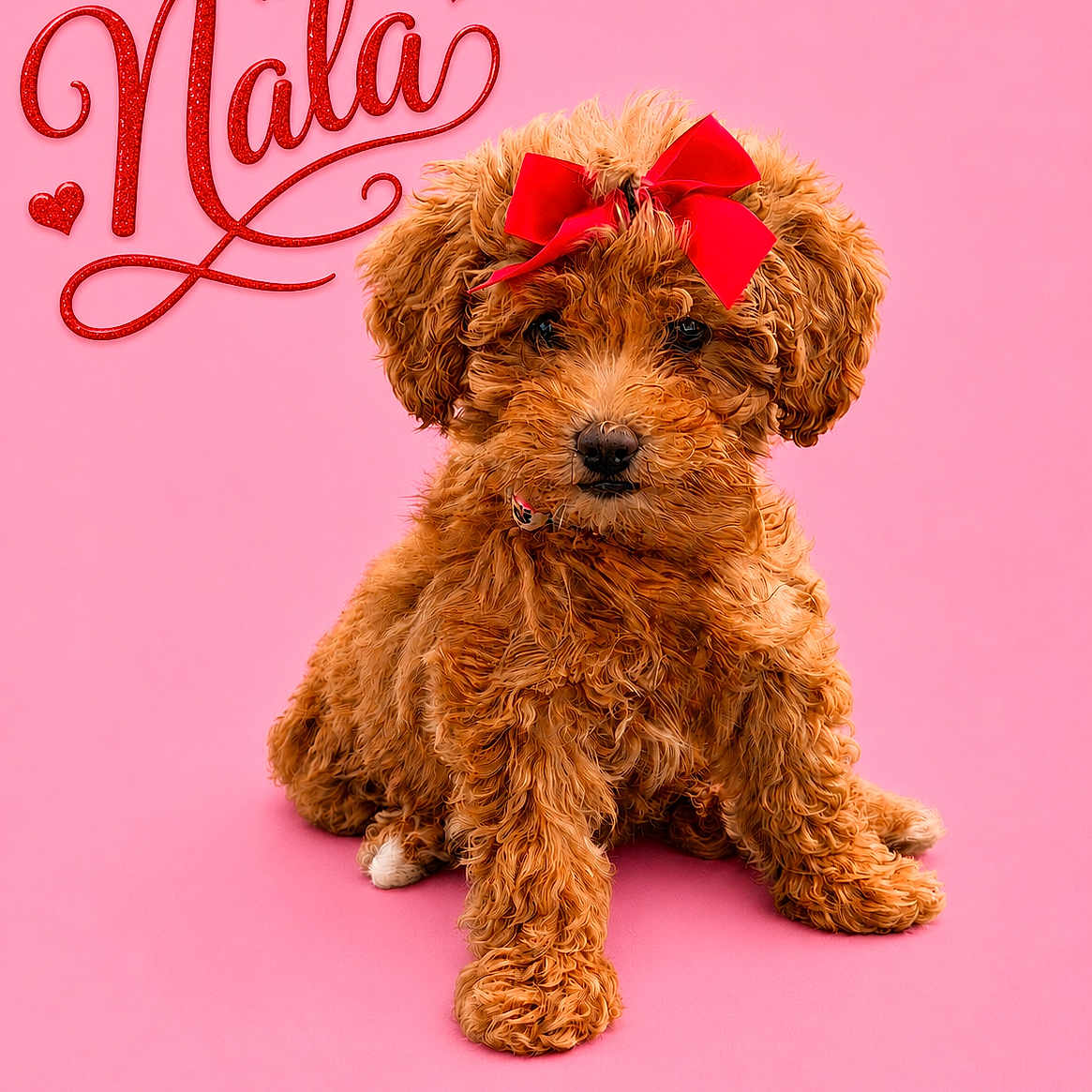 Nala