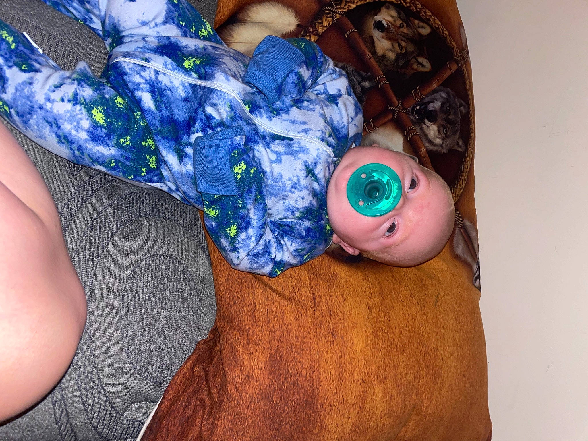 Louie is registered to the contest to win money with this photo: abdomen, arm, baby_toddler_clothing, doll, electric_blue, finger, human_leg, knee, nail, pattern, person, personal_protective_equipment, skin, stuffed_toy, teddy_bear, textile, thigh, toy, trunk, wood