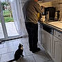 elderly_man, cat, kitchen, coffee_machine, cup, floor, window, curtain, tile_floor, cabinet, glass, kettle, indoor, pet, waiting, black_and_white_cat, standing_person, appliance, home, casual_clothing