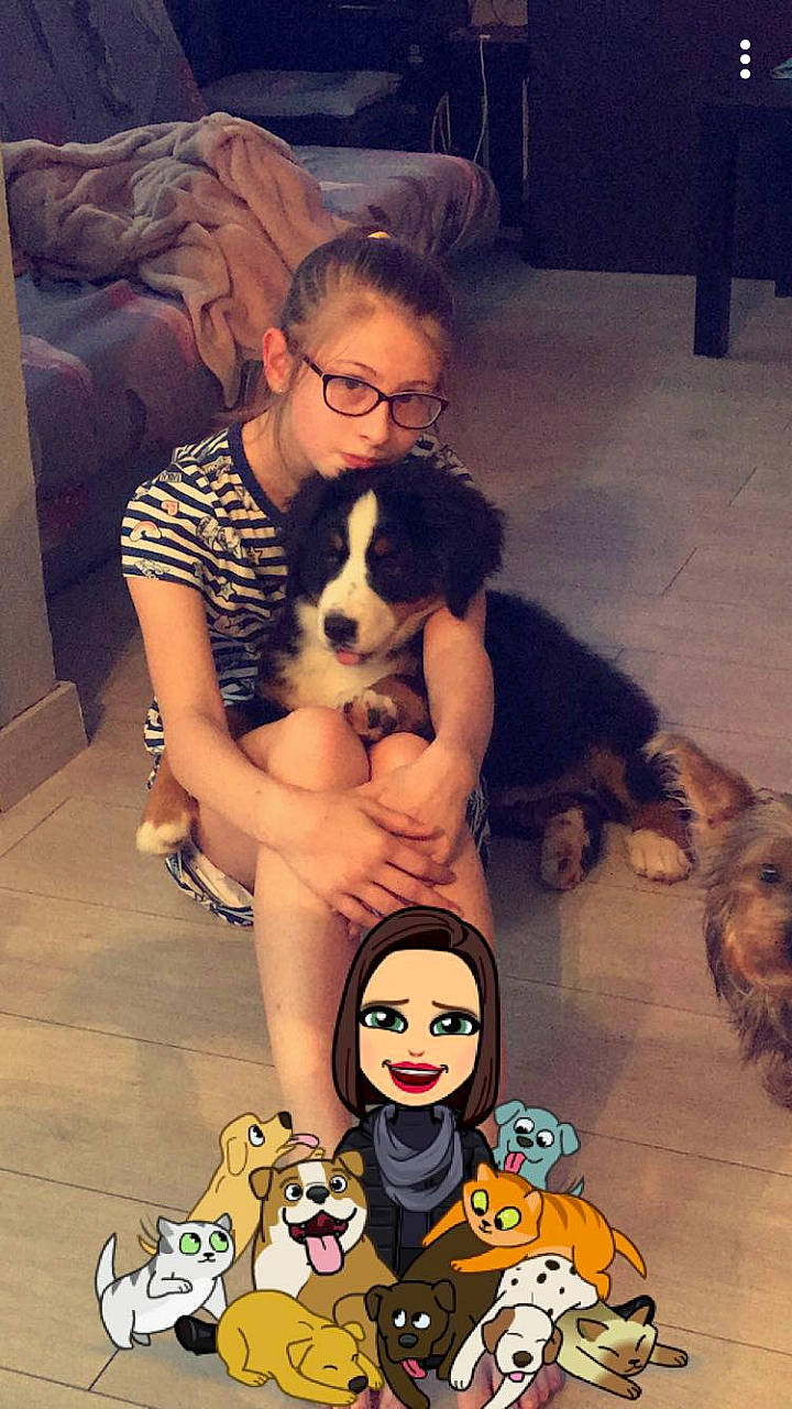 Orus participe au concours pour gagner de l'argent avec cette photo : black_hair, carnivore, chair, comfort, companion_dog, cool, couch, dog, dog_breed, eyewear, fawn, friendship, fun, glasses, happy, mammal, photograph, smile, thigh, vertebrate