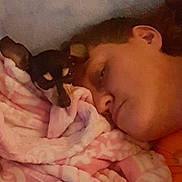 Rosebud joined the competition — help win amazing prizes! black_dog, blanket, brown_hair, closeup, comfort, cozy, cuddle, dog, face, indoor, intimate, laying_down, person, pet, pink_blanket, relaxation, resting, sleepy, small_dog, warm_lighting