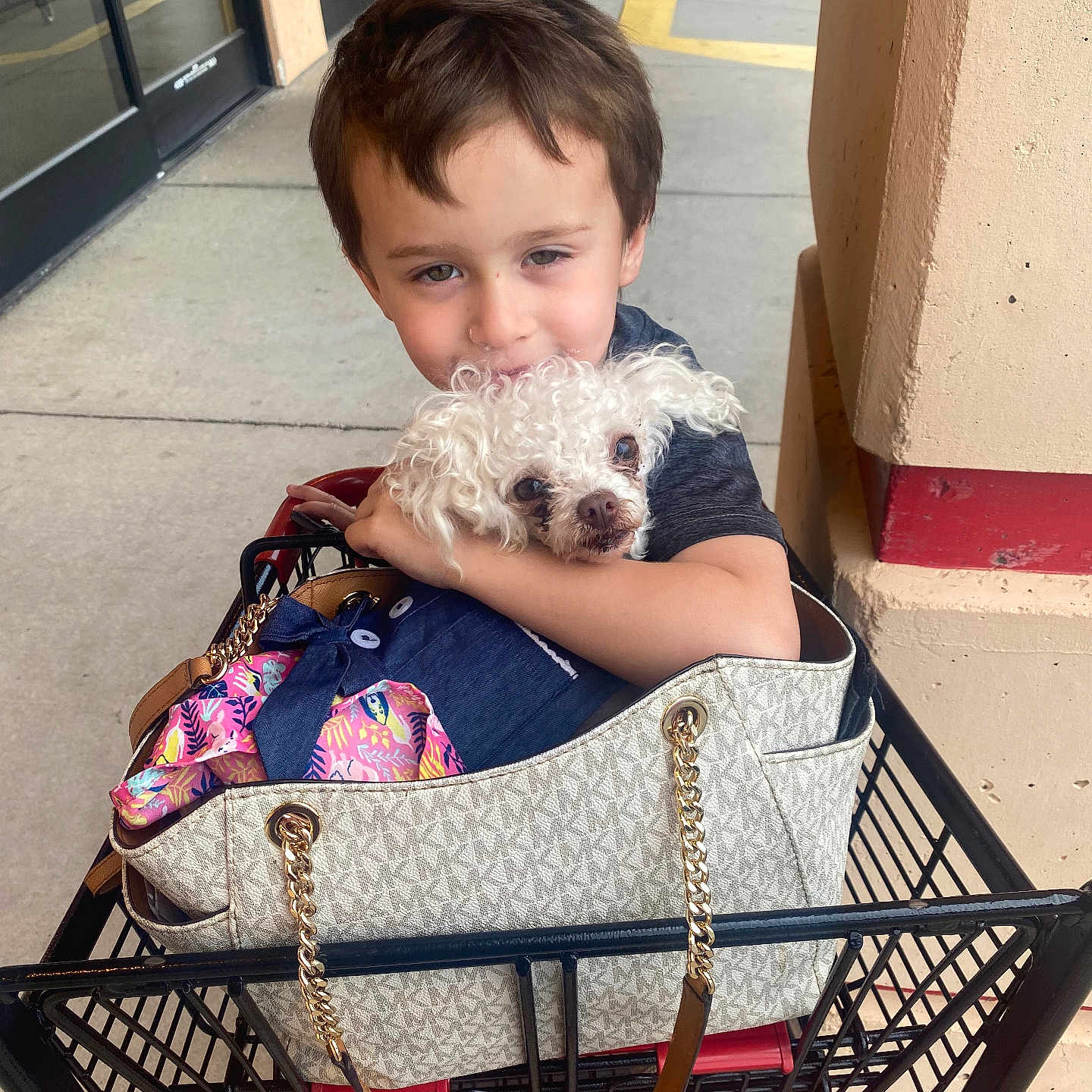 Lucy is registered to the contest to win money with this photo: accessories, animal, bag, canine, city, clothing, dog, face, footwear, handbag, head, person, pet, photography, portrait, puppy, road, shoe, street, urban