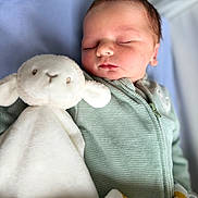 Léo participe au concours pour gagner de l'argent avec cette photo : baby, newborn, sleeping, plush_toy, lamb, blanket, soft_toy, infant, cozy, cute, child, portrait, indoors, peaceful, sleep, clothing, fabric, closeup, head, face