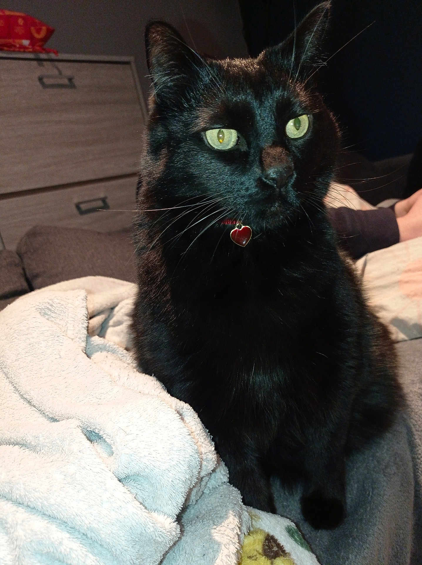 Artemis