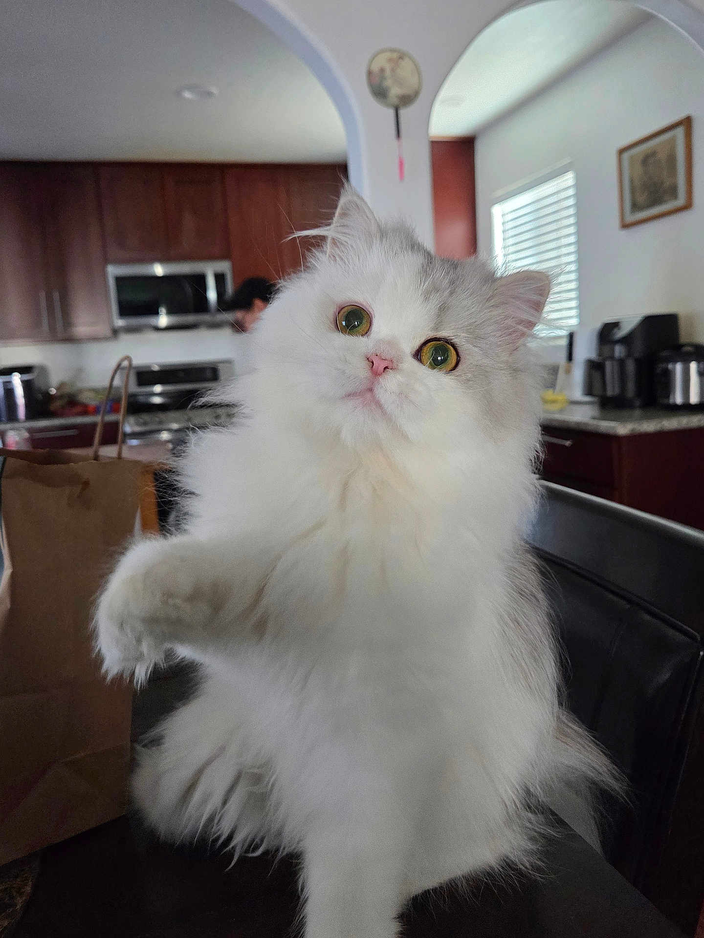 Bao