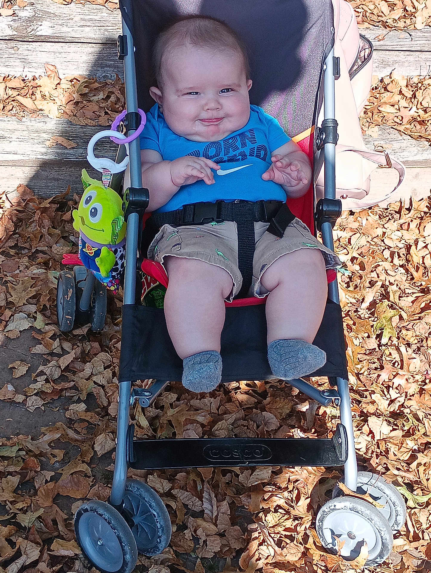 Braxton