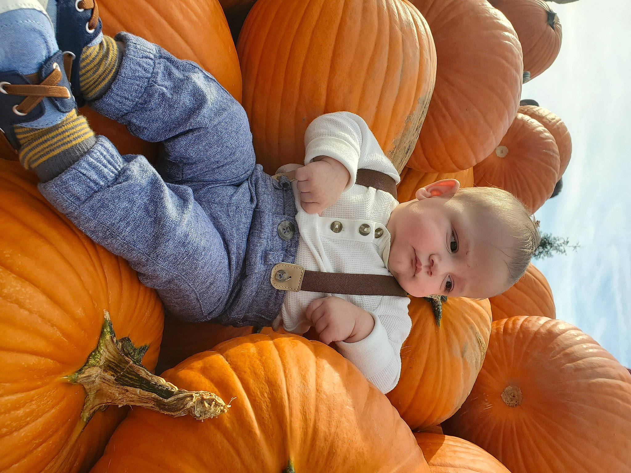 Cullen is registered to the contest to win money with this photo: arm, calabaza, comfort, cucurbita, facial_expression, gourd, hand, head, human_body, mammal, natural_foods, orange, organ, person, photograph, plant, pumpkin, squash, vegetable, vertebrate