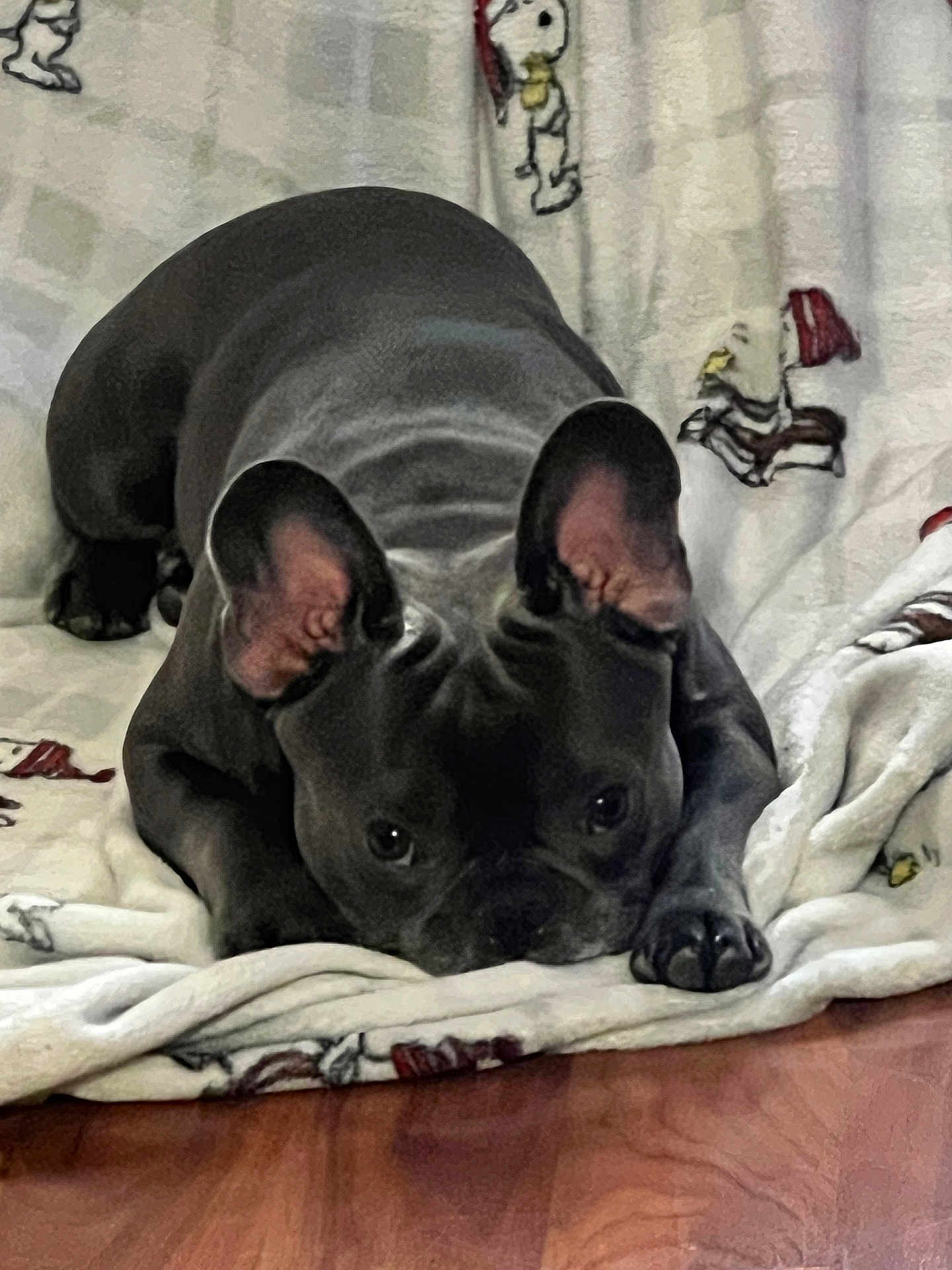Coco
