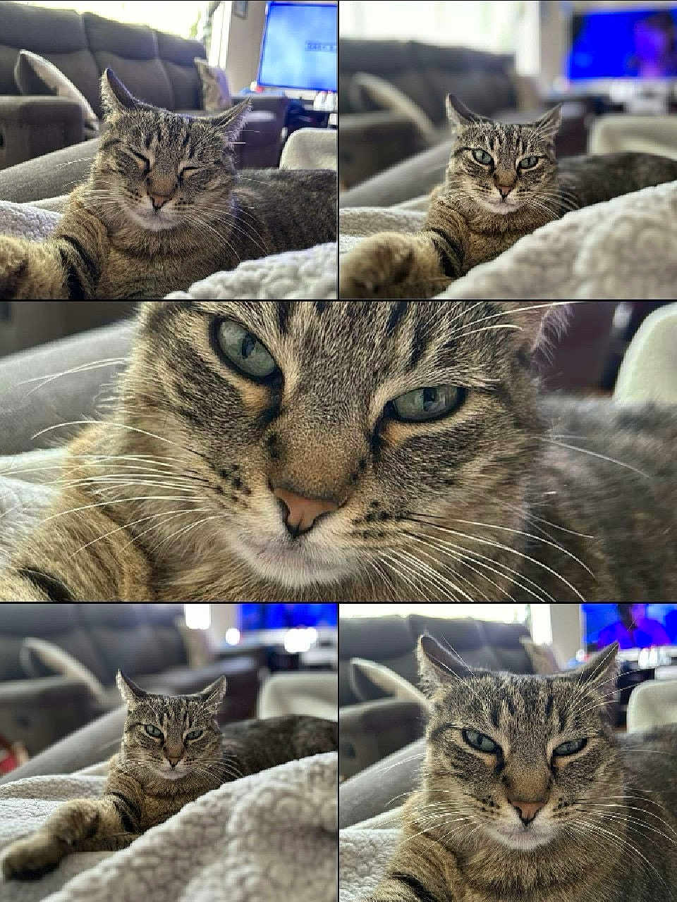 Chloe