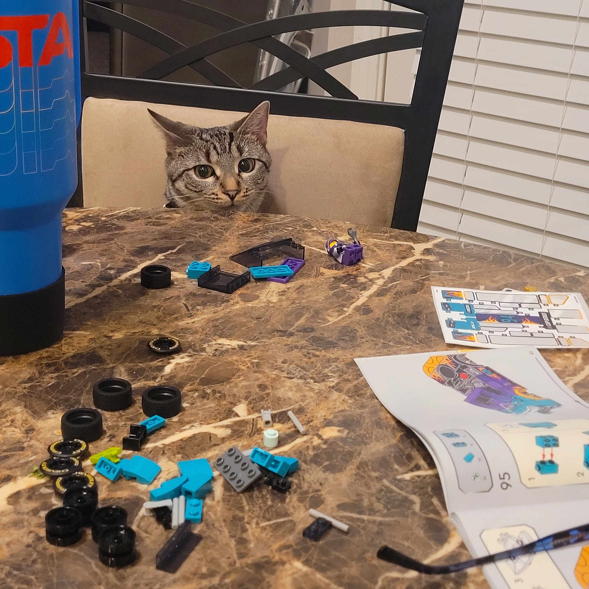 Mars Topaz Cox joined the competition — help win amazing prizes! blinds, blue_tumbler, building_toys, cat, cat_face, chair, close_up, curious, hobby, indoor, instruction_sheet, lego_pieces, marble_table, peeking, pet, seat, tabby_cat, tabletop, toy_parts, wide_eyes