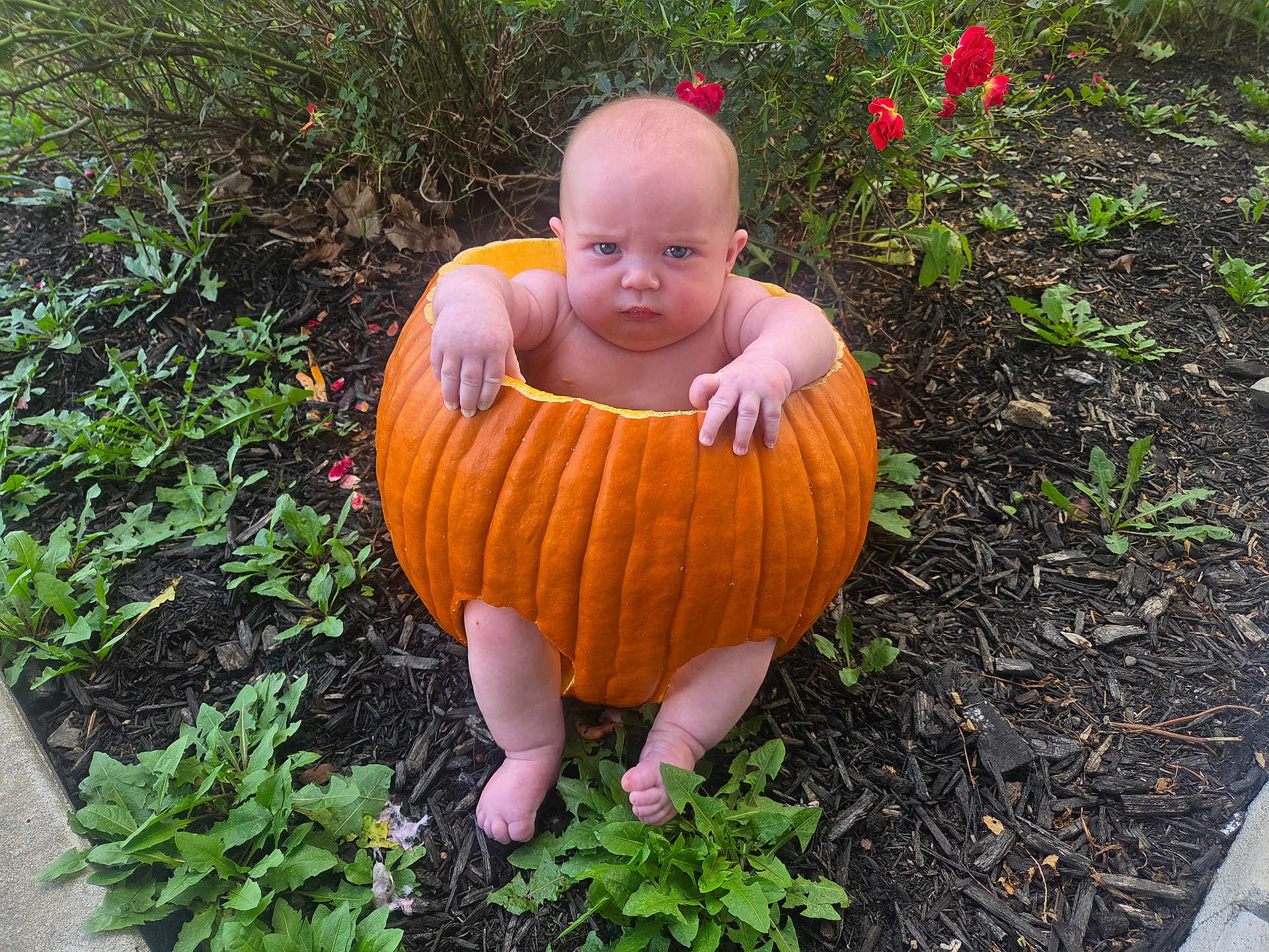 Braxton