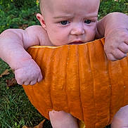 Braxton is registered to the contest to win money with this photo: arms, autumn, baby, child, cute, expression, face, fall, garden, grass, holiday, leaf, nature, orange, outdoor, plump, pumpkin, seasonal, sitting, skin