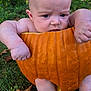 arms, autumn, baby, child, cute, expression, face, fall, garden, grass, holiday, leaf, nature, orange, outdoor, plump, pumpkin, seasonal, sitting, skin
