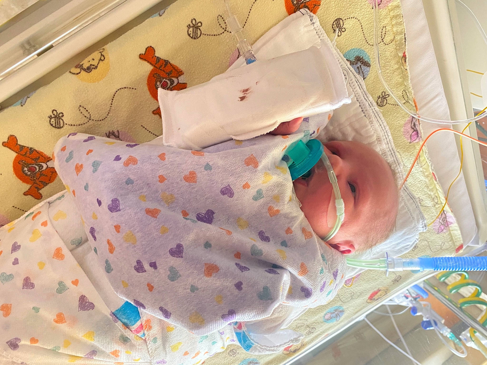 Cruz joined the competition — help win amazing prizes! baby, baby_products, baby_safety, baby_toddler_clothing, bed, bed_sheet, bedding, bedtime, blanket, child, comfort, hospital, infant_bed, linens, pattern, person, pink, product, room, textile